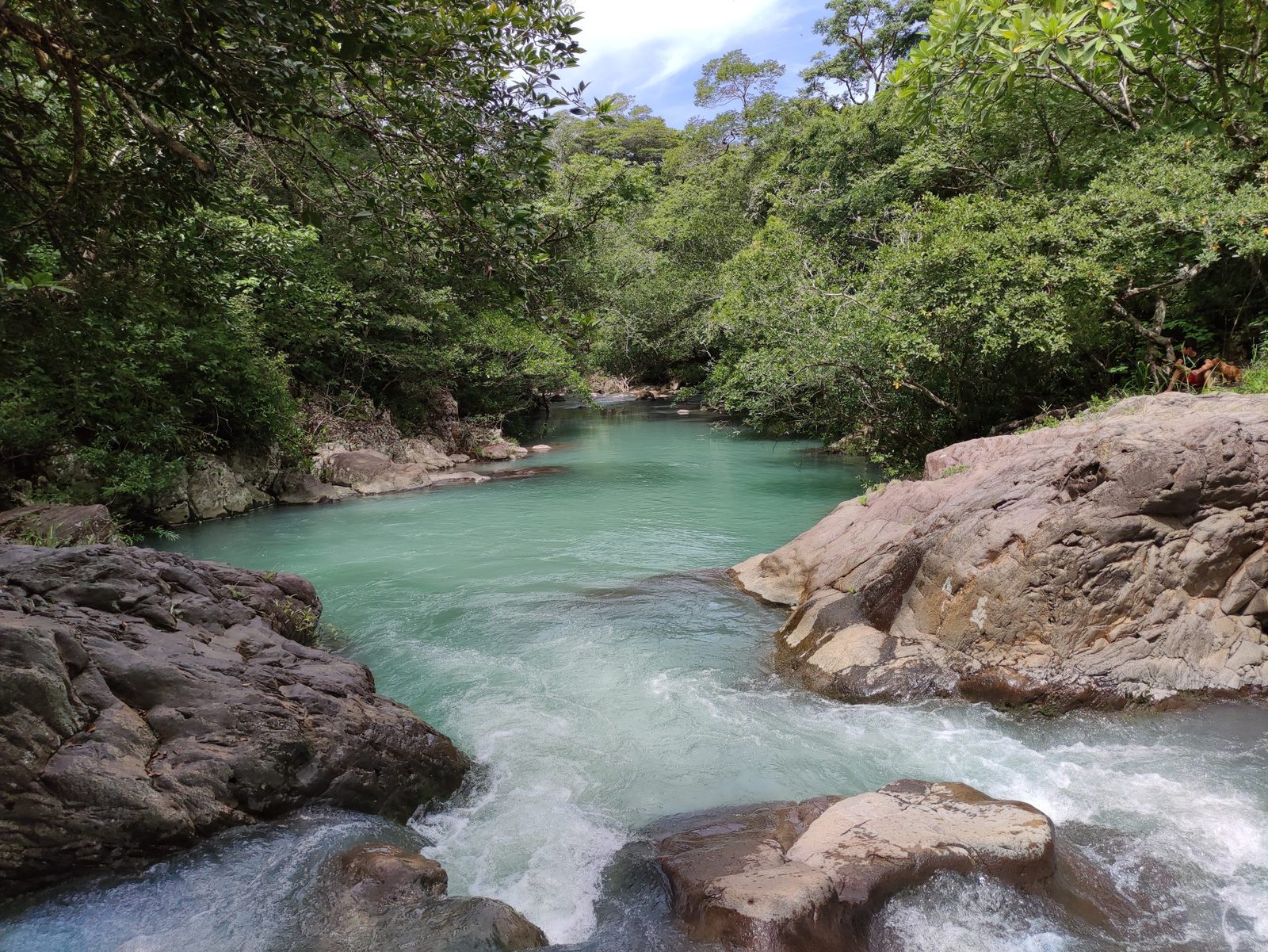 A clear turquoise river flows gently through a lush green fo