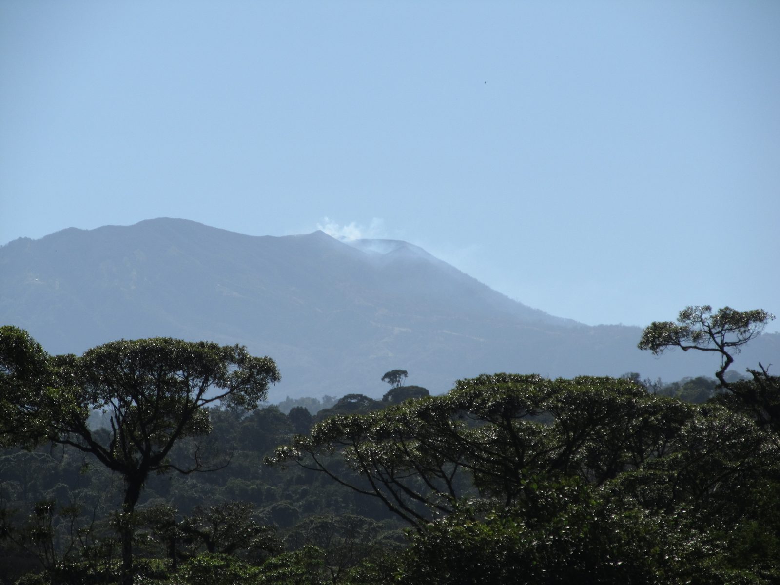 Volcan Turrialba visto desde el canopy Rainforest cerca del