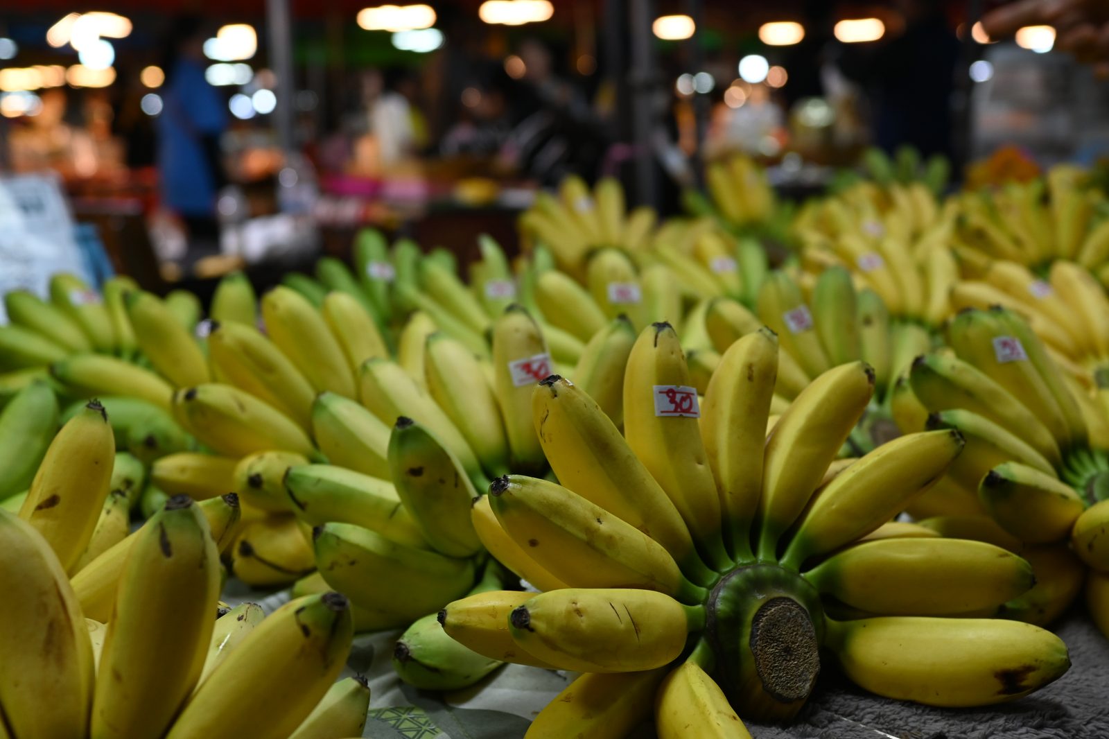 DFC 4184 Bunches of ripe bananas neatly arranged at a bustli