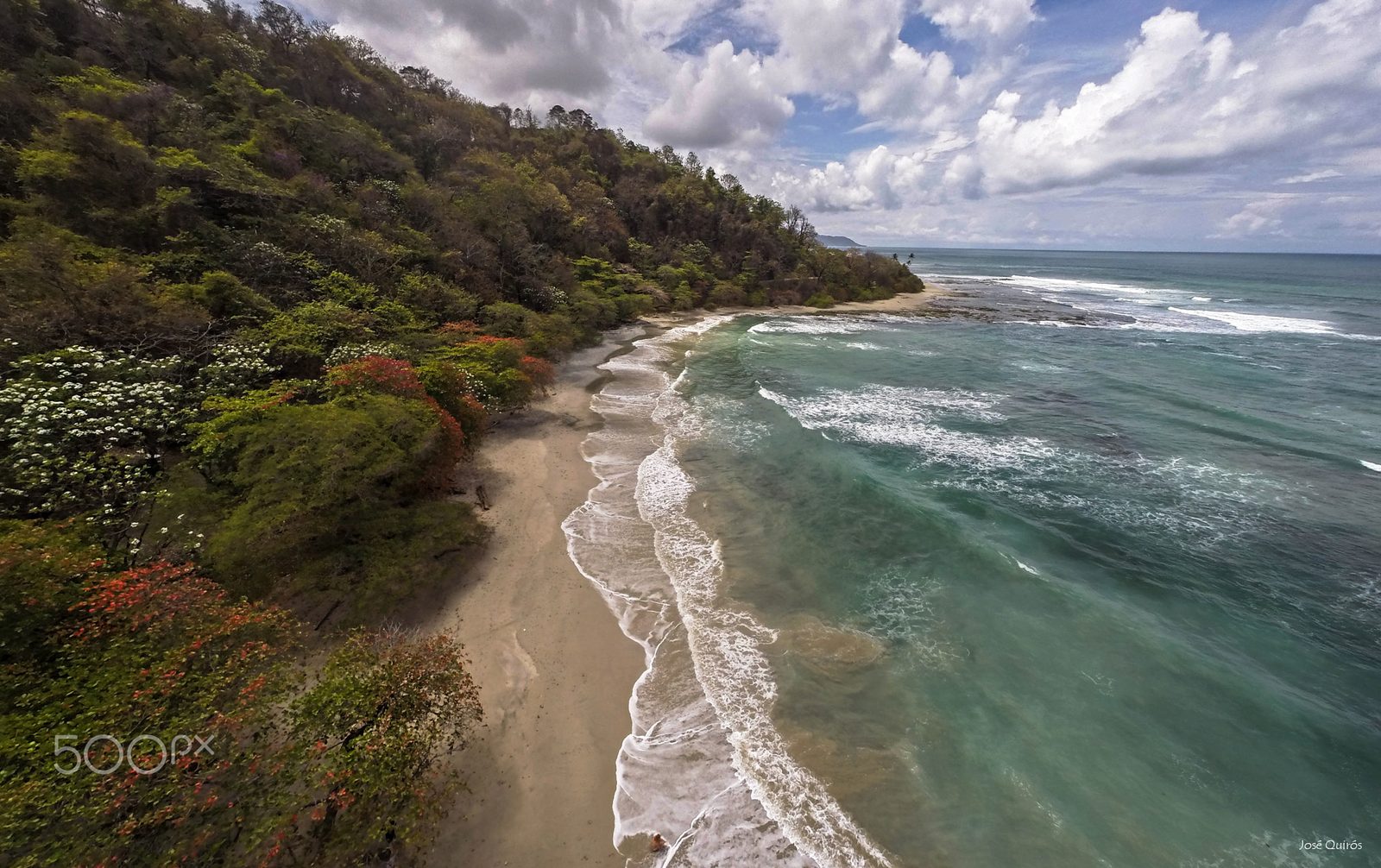 Tropical nature in Costa Rica